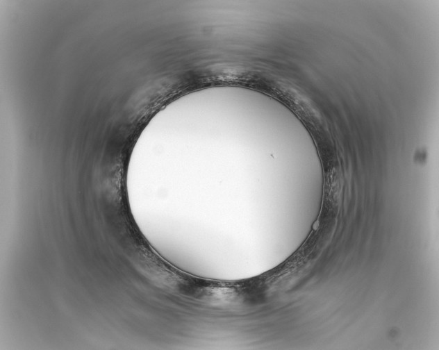 X0000093570509200710291043