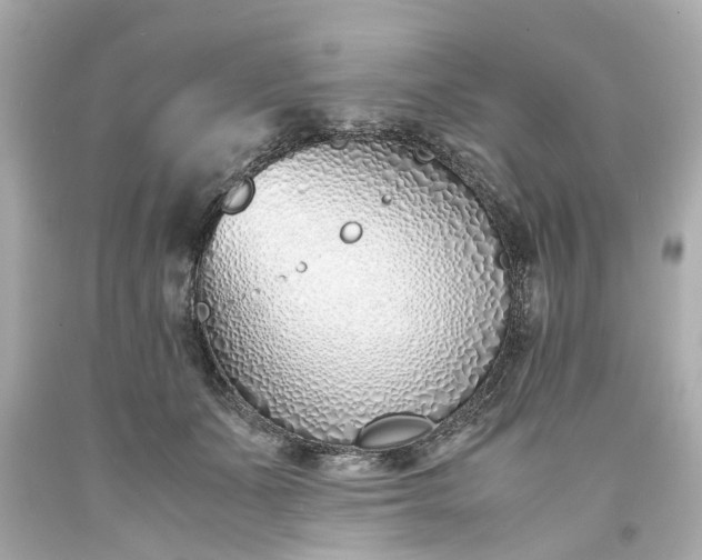 X0000093570511200710291043