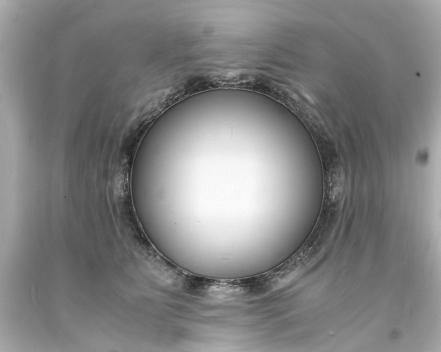 X0000093570515200710291042