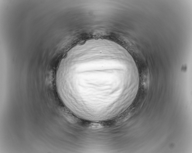 X0000093570519200710291042