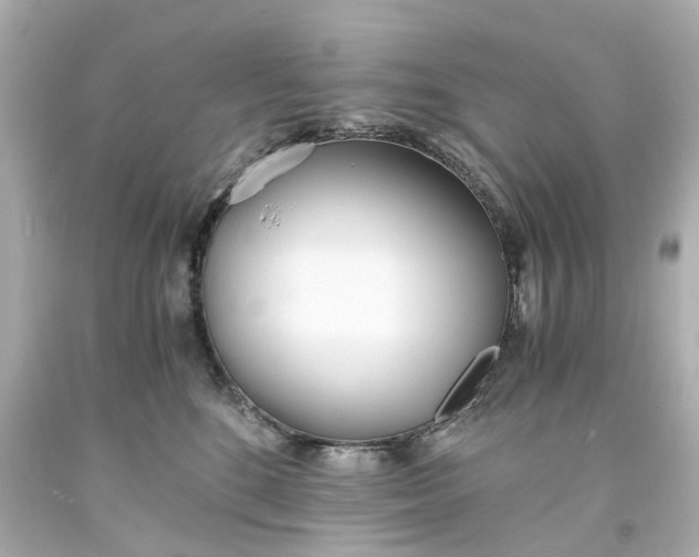 X0000093570520200710291042