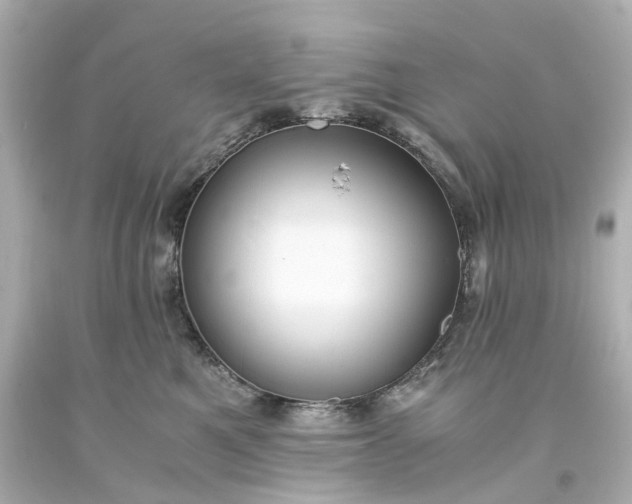 X0000093570521200710291042