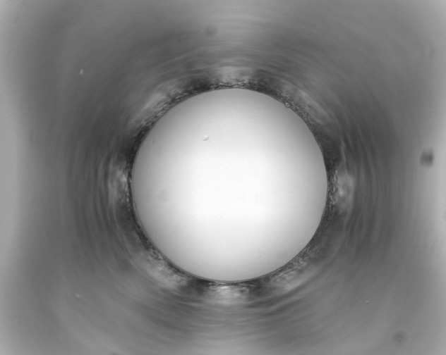 X0000093570522200710291042