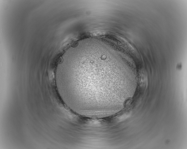 X0000093570523200710291042