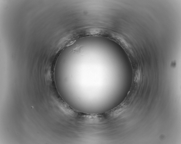 X0000093570524200710291042