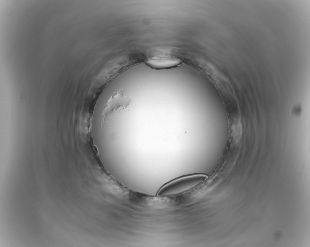 X0000093570525200710291042
