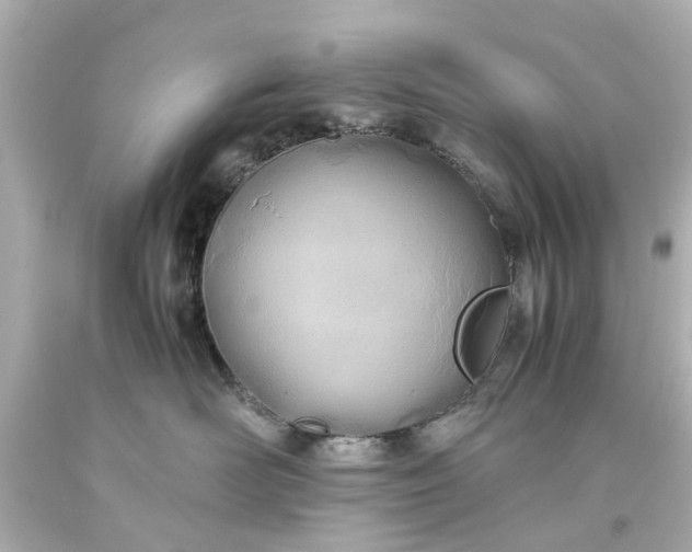 X0000093570526200710291042