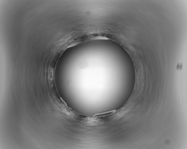 X0000093570528200710291042