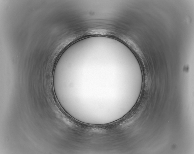 X0000093570529200710291042