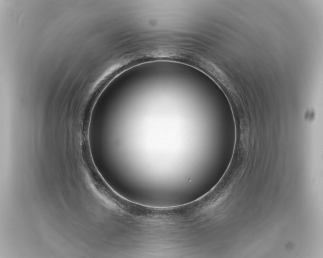 X0000093570530200710291042