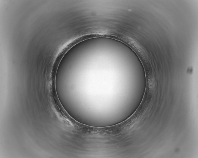 X0000093570532200710291042