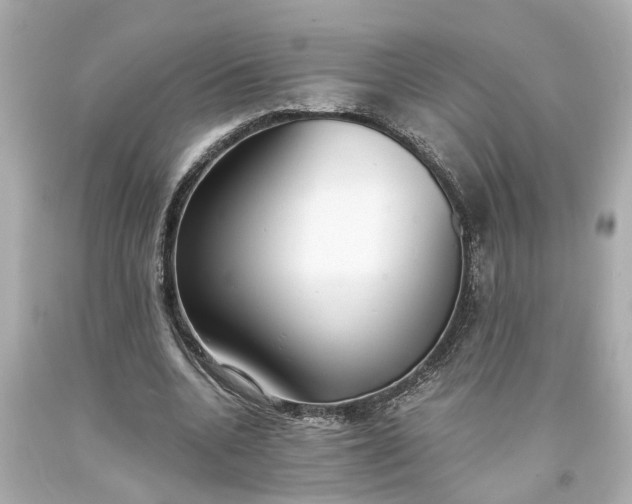 X0000093570536200710291042