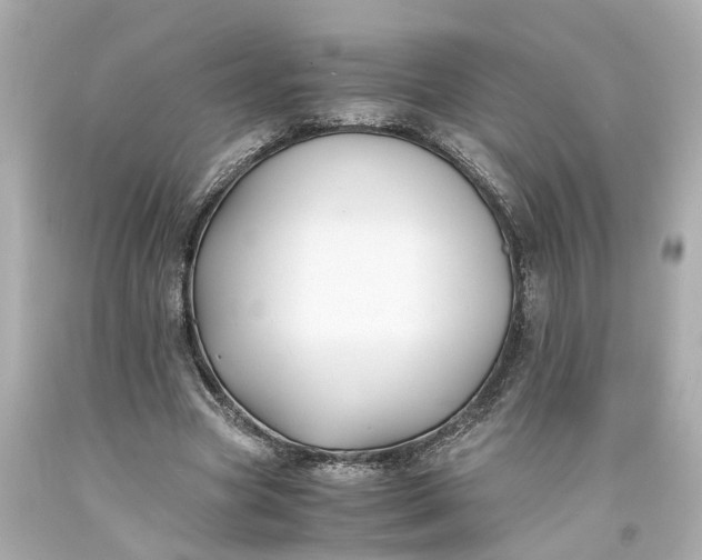X0000093570537200710291042