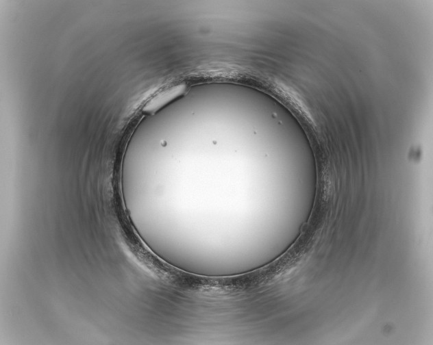 X0000093570538200710291042