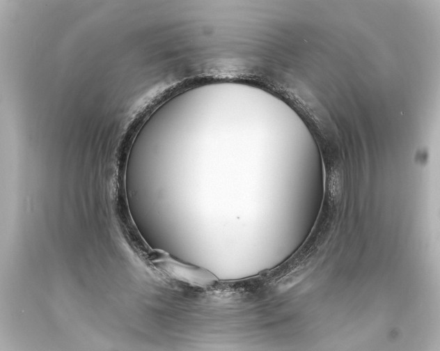 X0000093570540200710291042