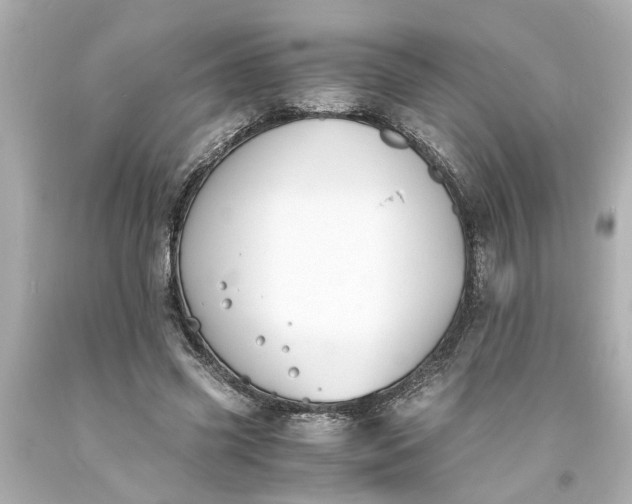 X0000093570541200710291042