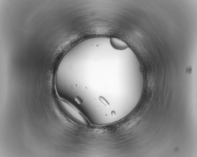 X0000093570542200710291042