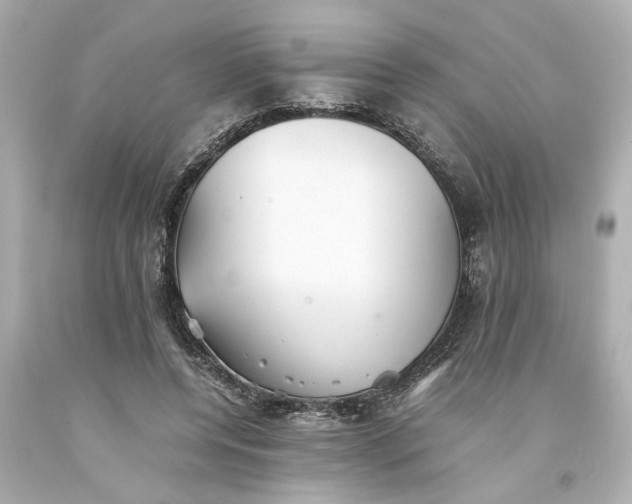 X0000093570544200710291042