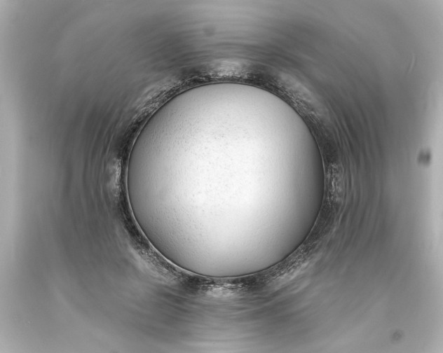 X0000093570550200710291042