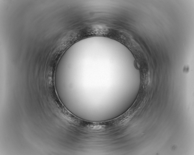 X0000093570553200710291042