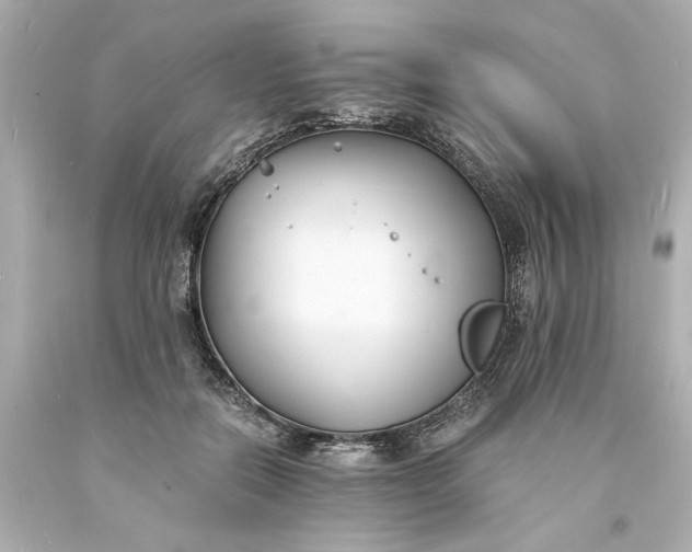 X0000093570554200710291042