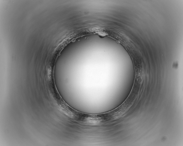 X0000093570556200710291042