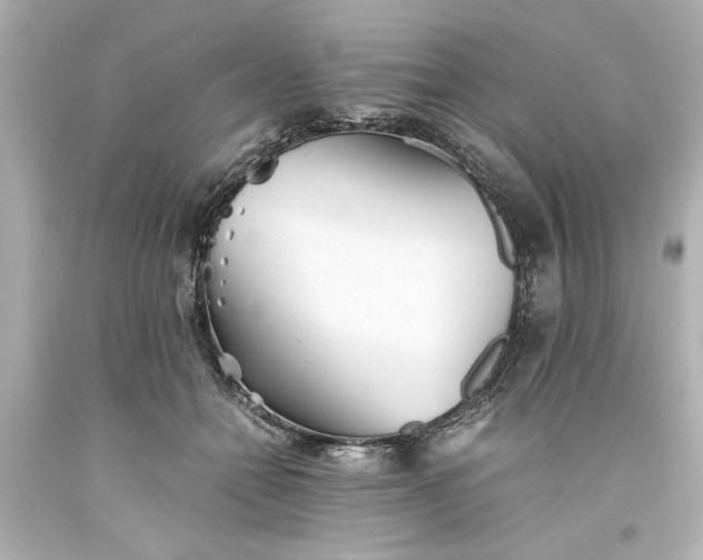 X0000093570558200710291042