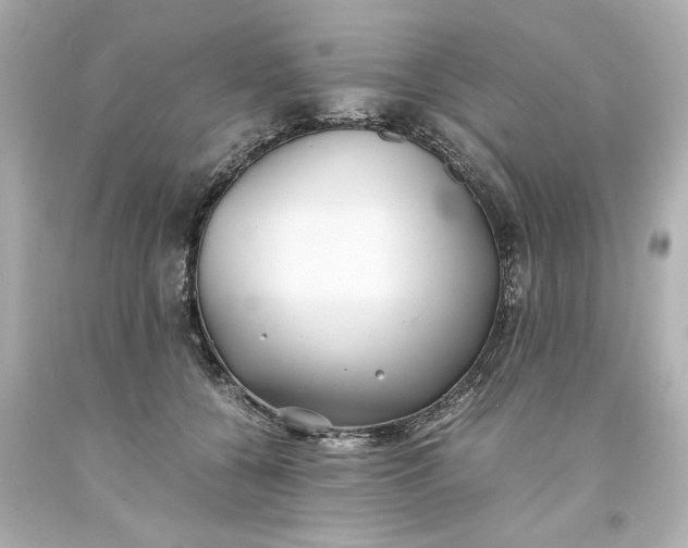 X0000093570560200710291042