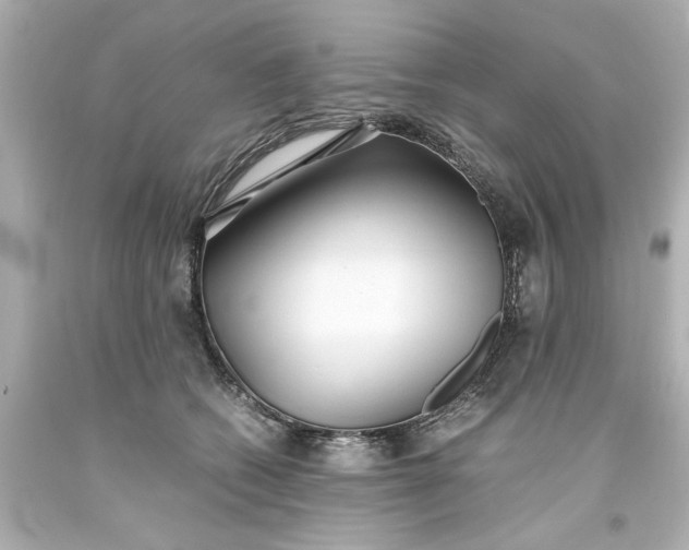 X0000093570562200710291042