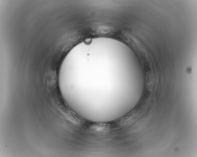 X0000093570563200710291042
