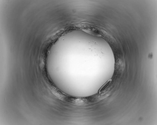 X0000093570566200710291042
