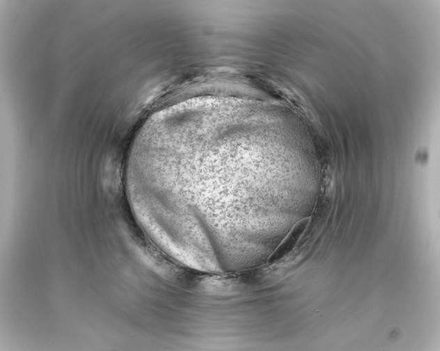 X0000093570568200710291042