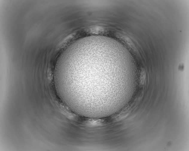 X0000093570569200710291042
