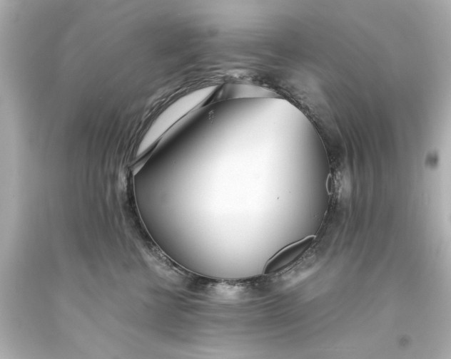 X0000093570570200710291042