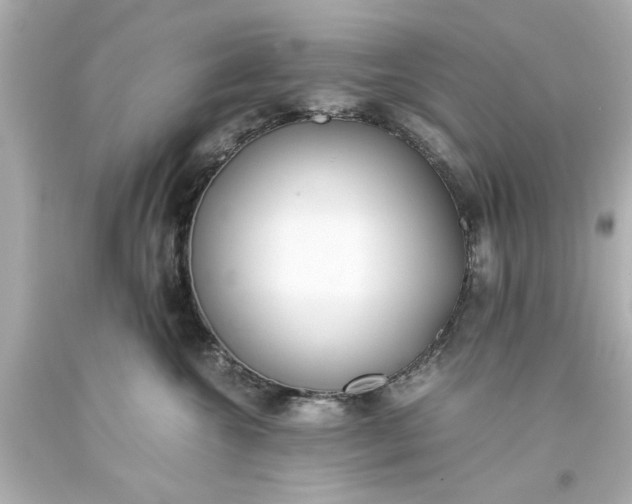 X0000093570572200710291042