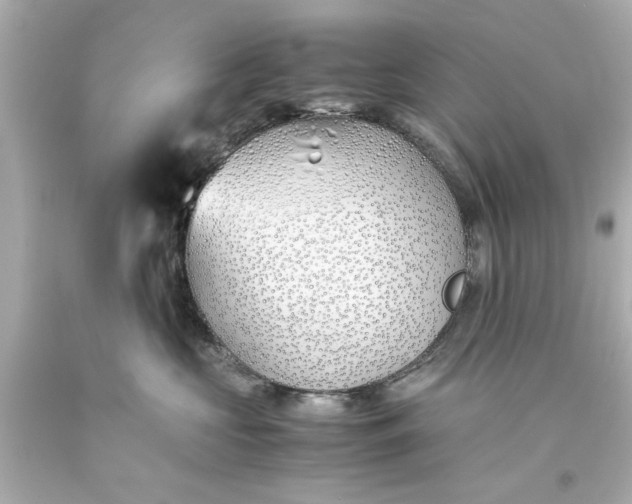 X0000093570573200710291042