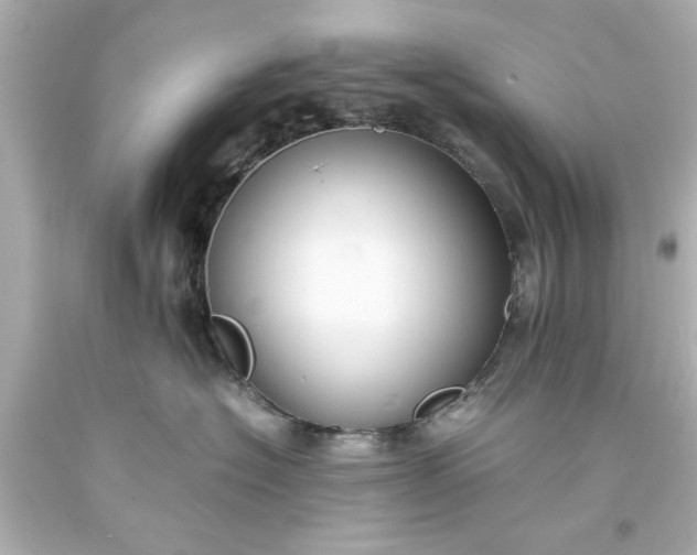 X0000093570574200710291042