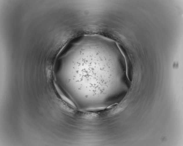 X0000093570576200710291042