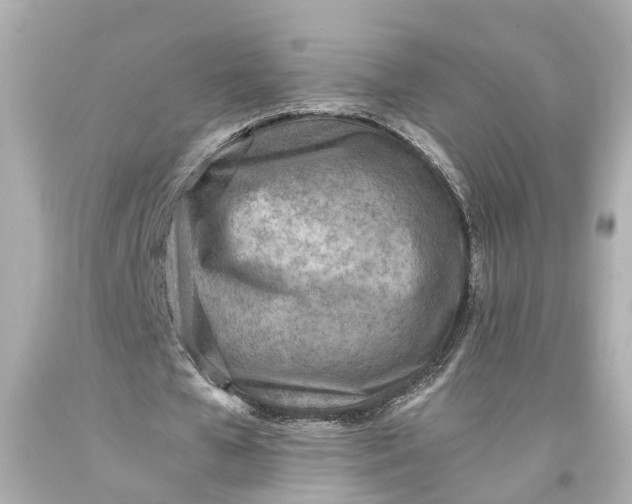 X0000093570577200710291042