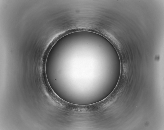 X0000093570580200710291041