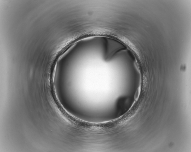 X0000093570581200710291041