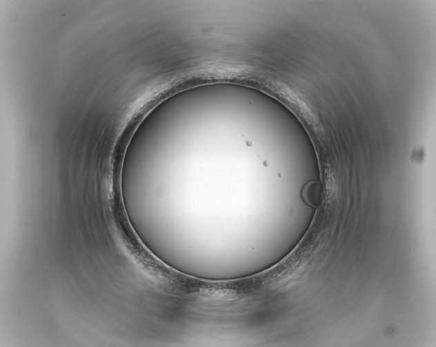 X0000093570582200710291041