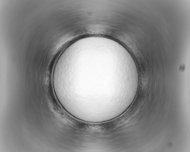 X0000093570583200710291041