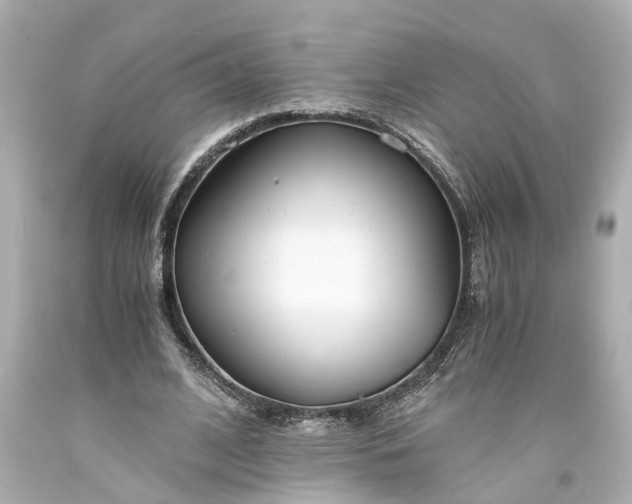 X0000093570584200710291041