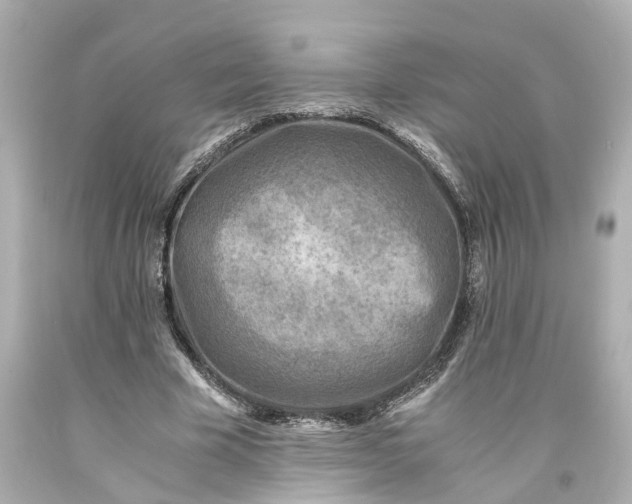 X0000093570585200710291041