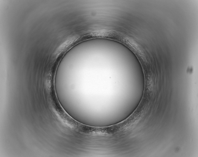 X0000093570586200710291041