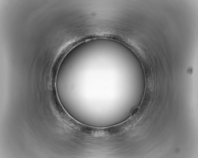 X0000093570587200710291041
