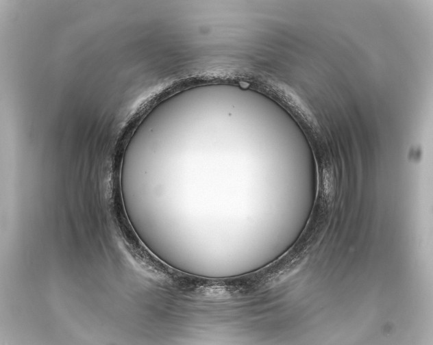 X0000093570588200710291041
