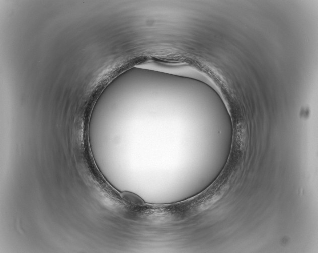 X0000093570589200710291041