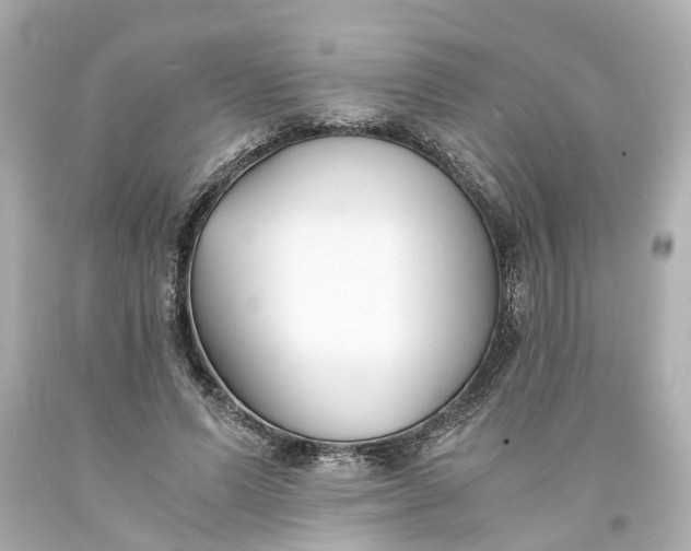 X0000093570591200710291041